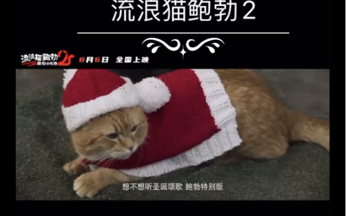 《流浪猫鲍勃2:鲍勃给你的礼物》哔哩哔哩bilibili