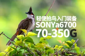 Descargar video: 轻便拍鸟入门装备，索尼a6700+70-350G