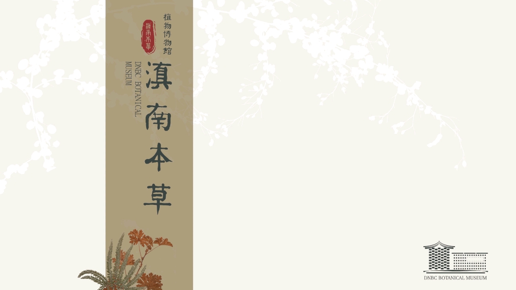 [图]《滇南本草植物博物馆·馆藏标本》数字版权作品即将发行