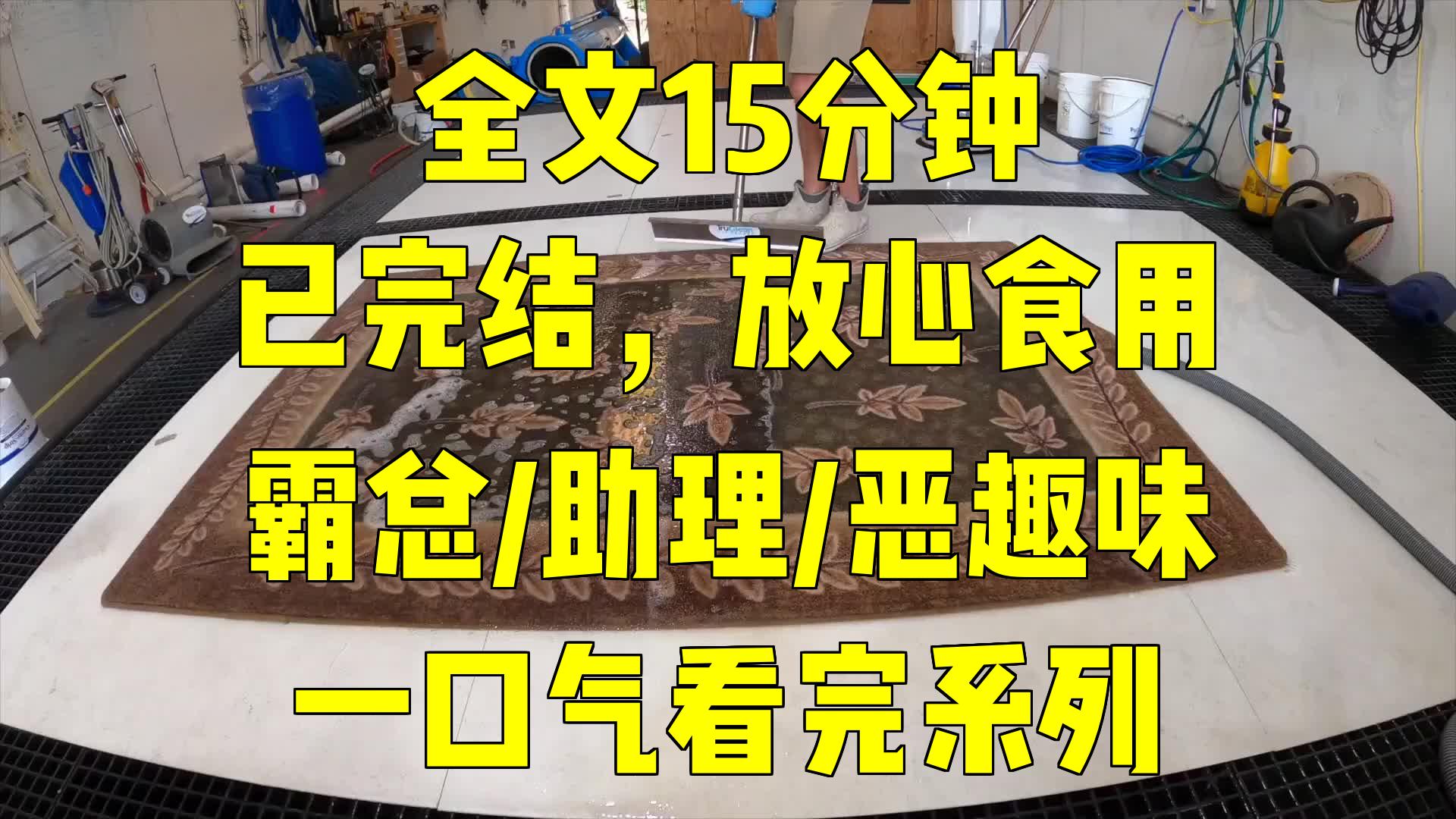 一口气系列|霸总/助理/恶趣味|误泼咖啡,她成了霸总的债务助理哔哩哔哩bilibili