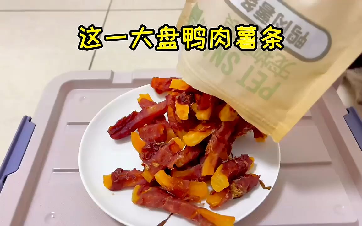 给小八的新零食,益和宠物狗训练零食太香了!哔哩哔哩bilibili