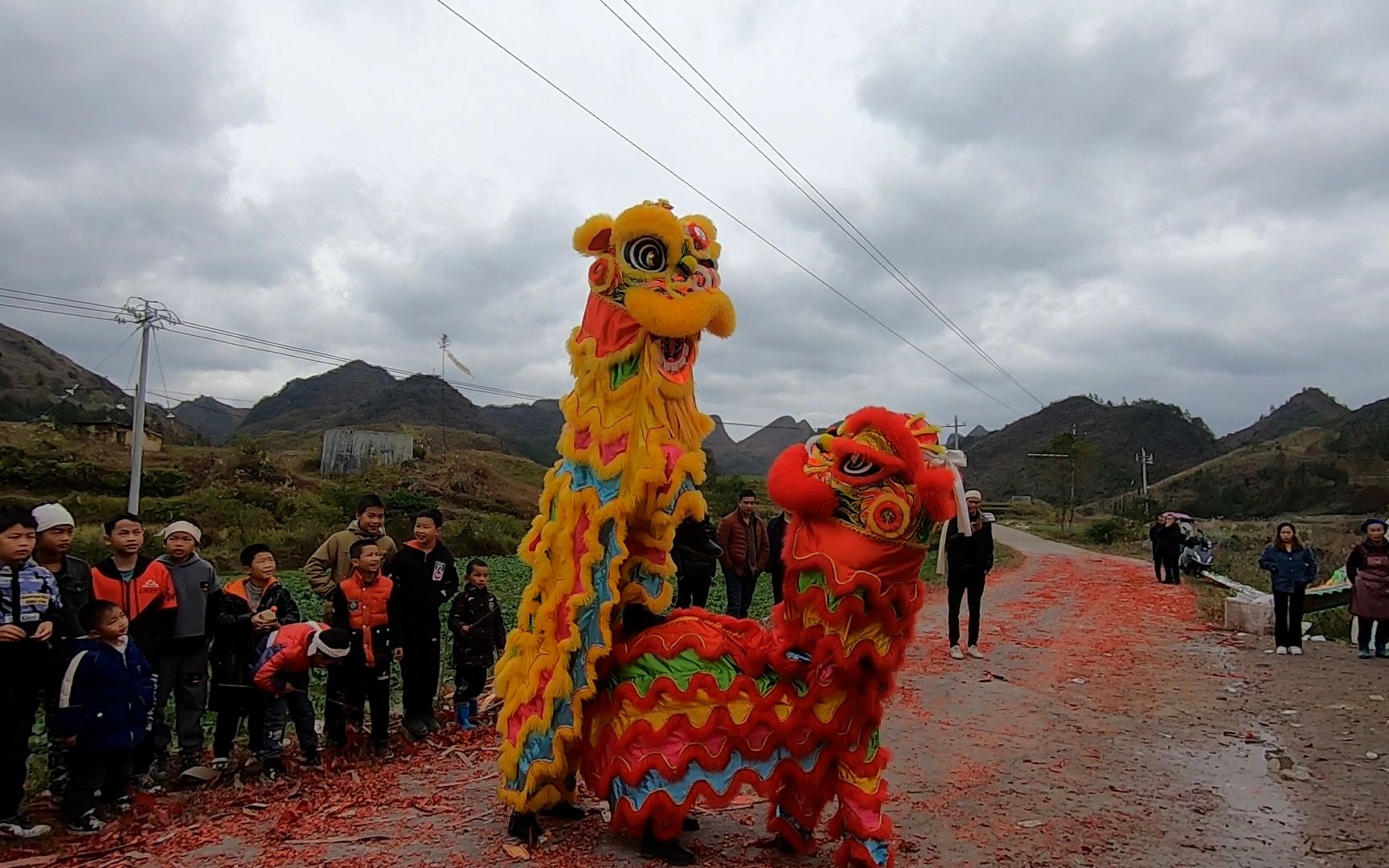 农村酒席舞狮表演太敬来了,下雨天的地上有积水狮子也要不停翻滚