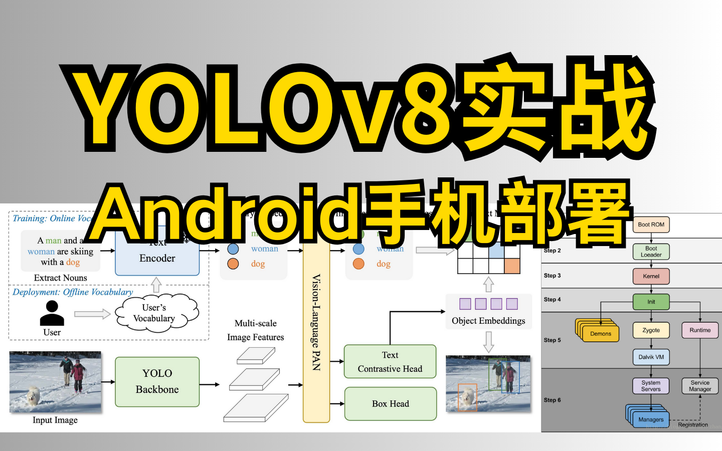 这绝对是全网最好的YOLOv8实战:基于PyTorch实现的Android手机部署!博导带你快速入门,赶紧收藏!哔哩哔哩bilibili