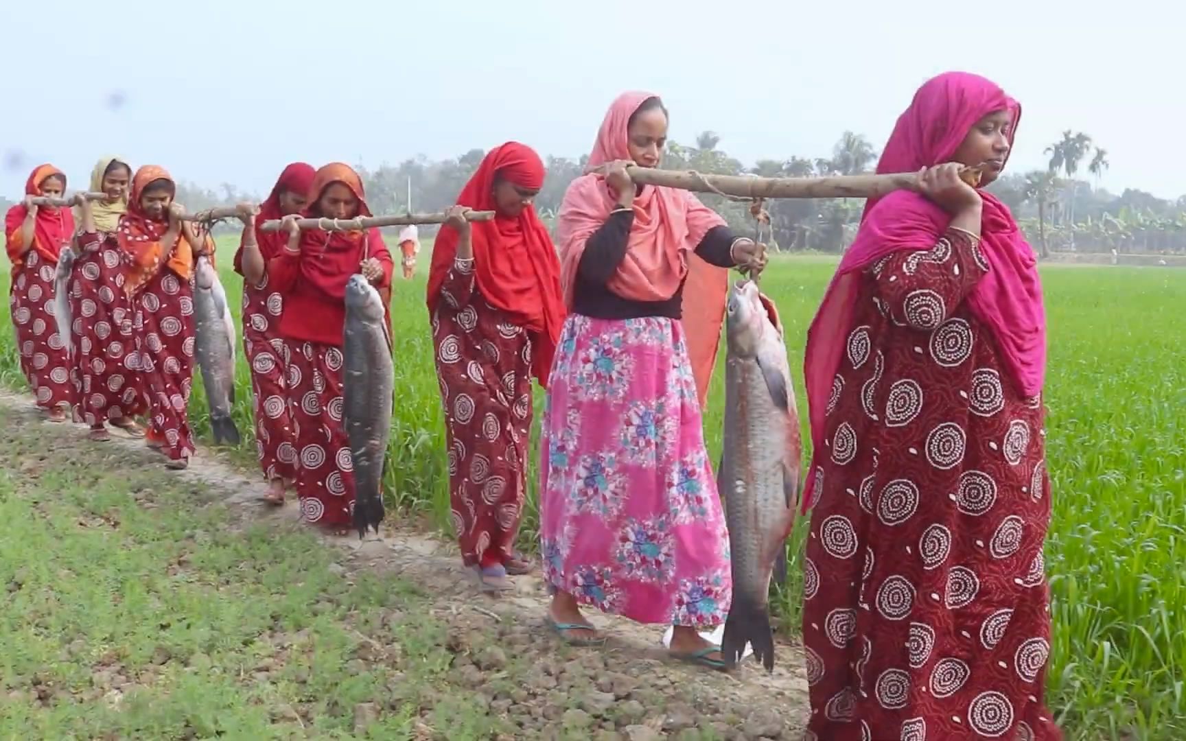 孟加拉国村妇女切鱼和烹饪-大鲤鱼,给孩子做鱼_哔哩哔哩_bilibili