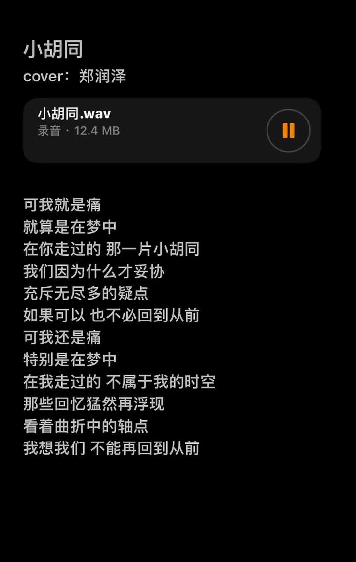 小胡同郑润泽录音可我就是痛特别是在梦中