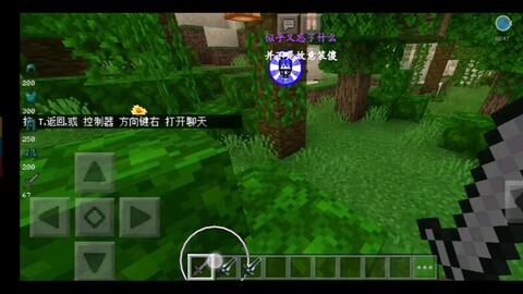 Minecraft国际版1 16血量显示 不是标题党 哔哩哔哩 つロ干杯 Bilibili