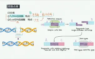 Скачать видео: “分子的缝合针”——DNA连接酶