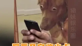 追星的姐妹注意了，收你卡的不一定是姐妹，也有可能是爱豆本人#林墨收自己小卡#闪亮的日子 #娱乐超有料