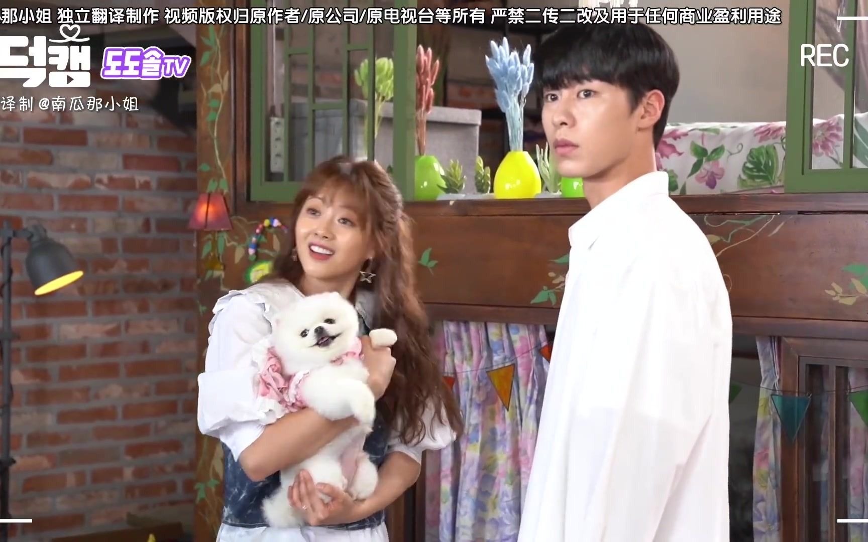 韩剧dodososolalaso哆哆嗦嗦啦啦嗦李宰旭高雅拉金周宪花絮完结啦撒花