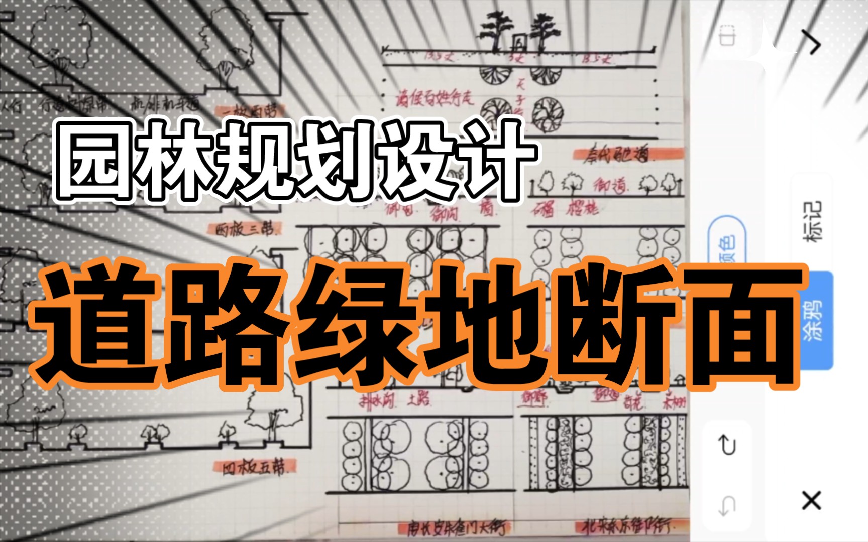 【园林规划设计】道路绿地断面|风景园林考研|名词解释|哔哩哔哩bilibili