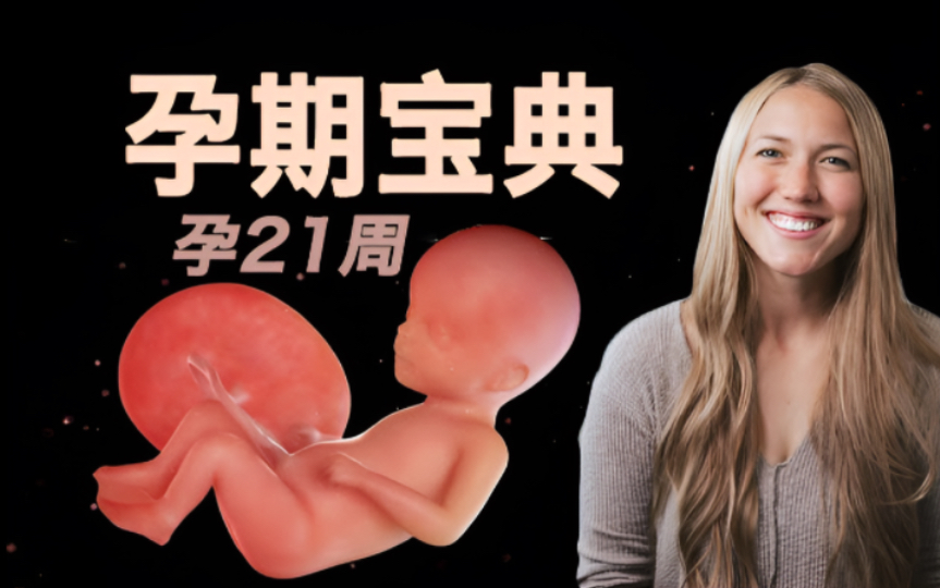 准妈妈们注意啦!孕21周胎儿发育和注意事项全解密!哔哩哔哩bilibili