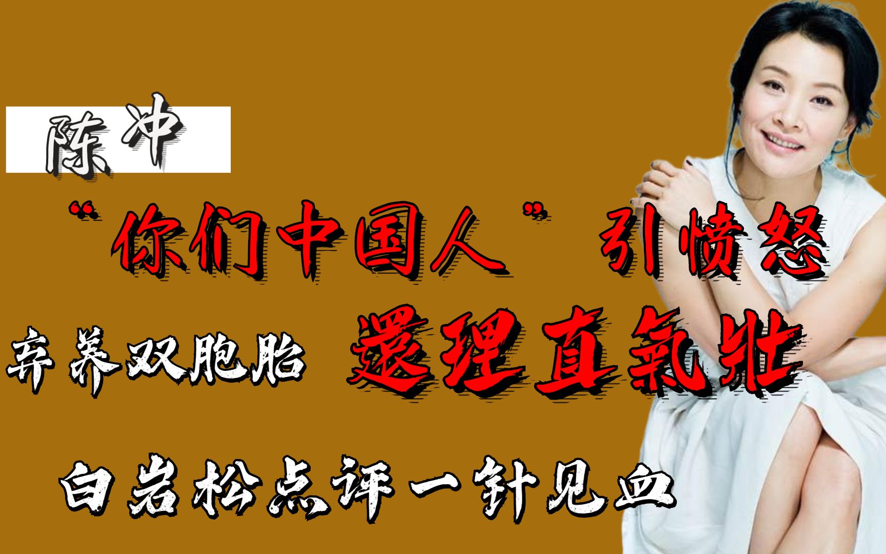 美籍陈冲上春晚,开口“你们中国人”引愤怒!白岩松点评一针见血哔哩哔哩bilibili