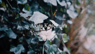 小濑村晶akira Kosemura South Wind Feat Nikiie Official Music Video 哔哩哔哩 Bilibili