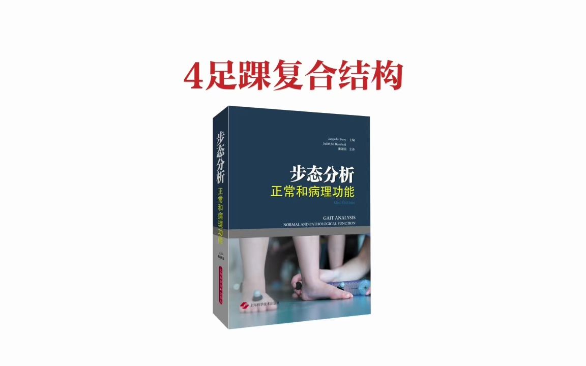 【步态分析】4足踝复合结构哔哩哔哩bilibili