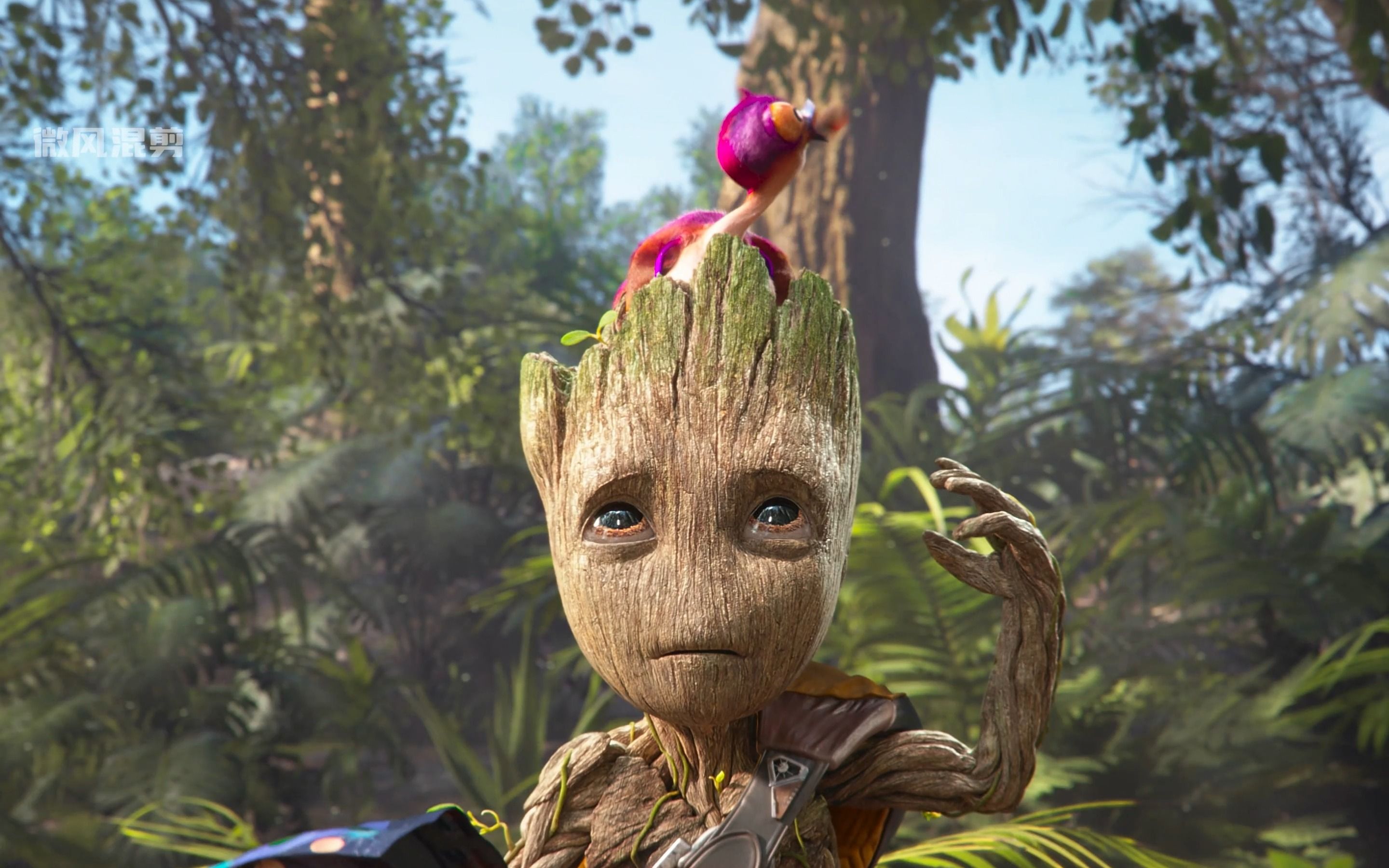 全程一句"我的格鲁特!