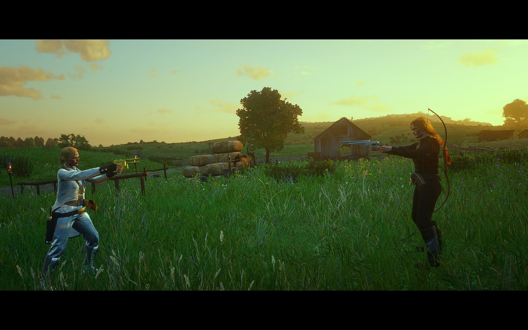 西部风云之犰狳镇争雌