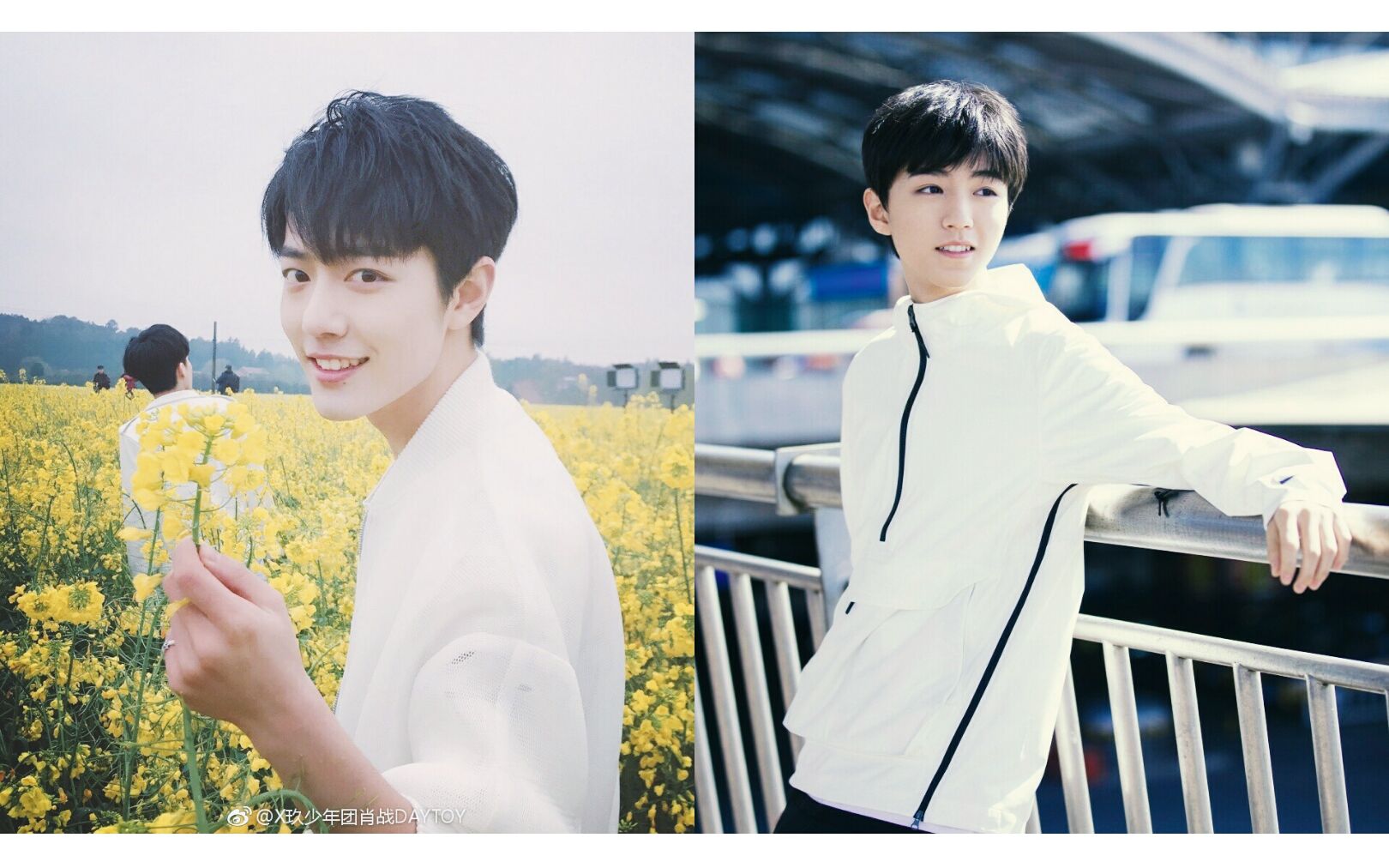 王俊凯 x 肖战 || 爱情光