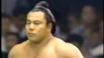 千代大海-哔哩哔哩_Bilibili