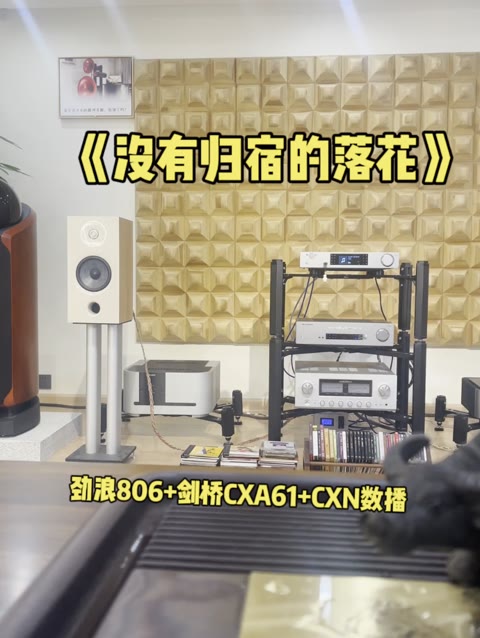 劲浪806搭配剑桥cxa61功放和剑桥cxn数播