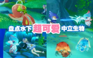 Download Video: 【原神】盘点枫丹水下超可爱小动物！跟它们一起玩好治愈~