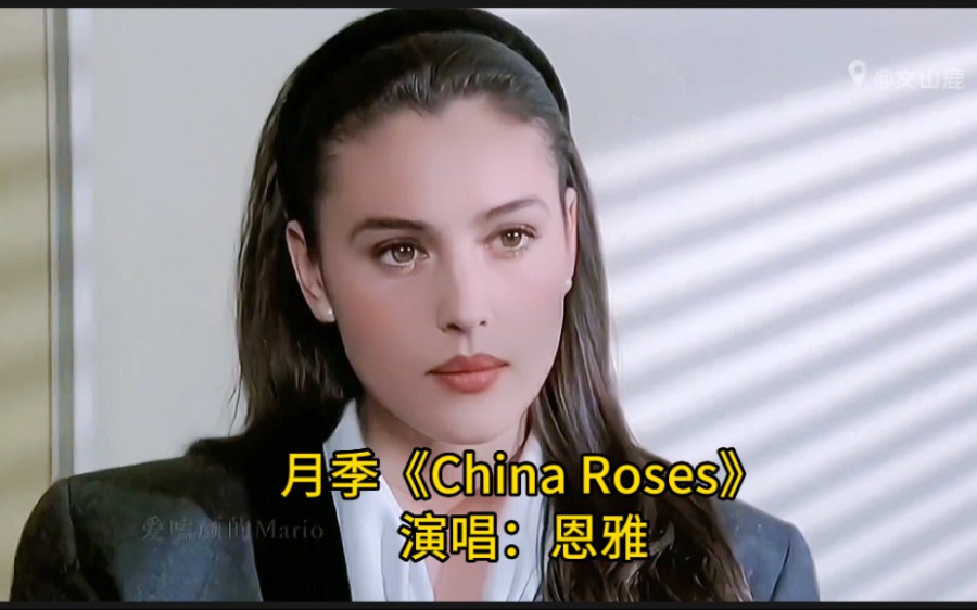 [图]恩雅经典歌曲《China Roses 》，犹如天籁之音，百听不厌