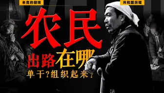 大锅饭养懒汉？浮夸？饥荒？农业合作化到底是什么【共和国13】