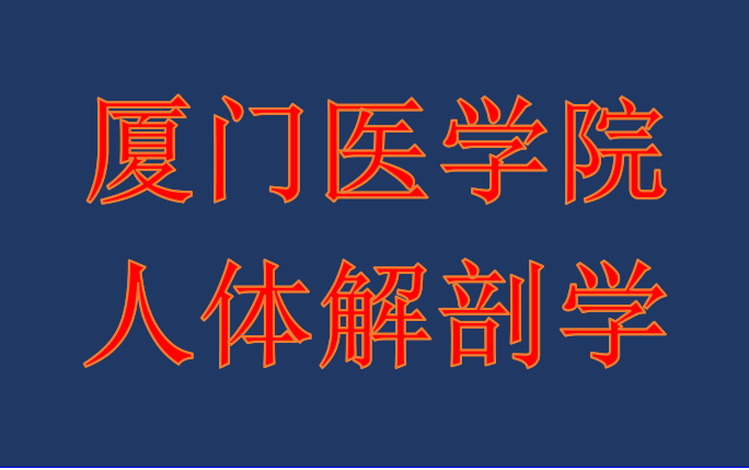 162.躯干和四肢深感觉传导通路哔哩哔哩bilibili