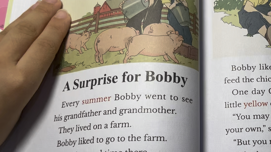 小学生英语朗读打卡第74天|a surprise for bobby