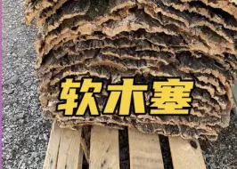 下载视频: 软木塞是如何制作出来的！