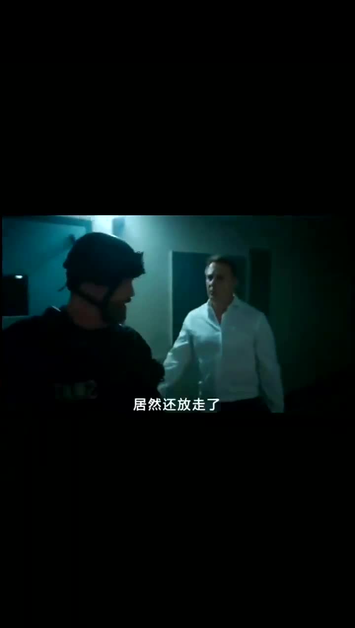 潜龙突围迈克尔加怀特