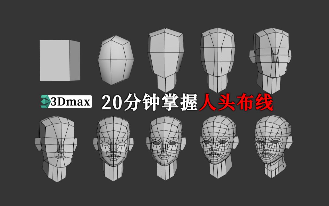 做角色必学的人头布线技巧讲解,从box开始教你起型,3dmax人物建模教学