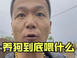 Télécharger la video: 我也有狗粮场