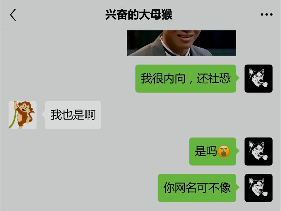 【一家人】兴奋的大母猴哔哩哔哩bilibili