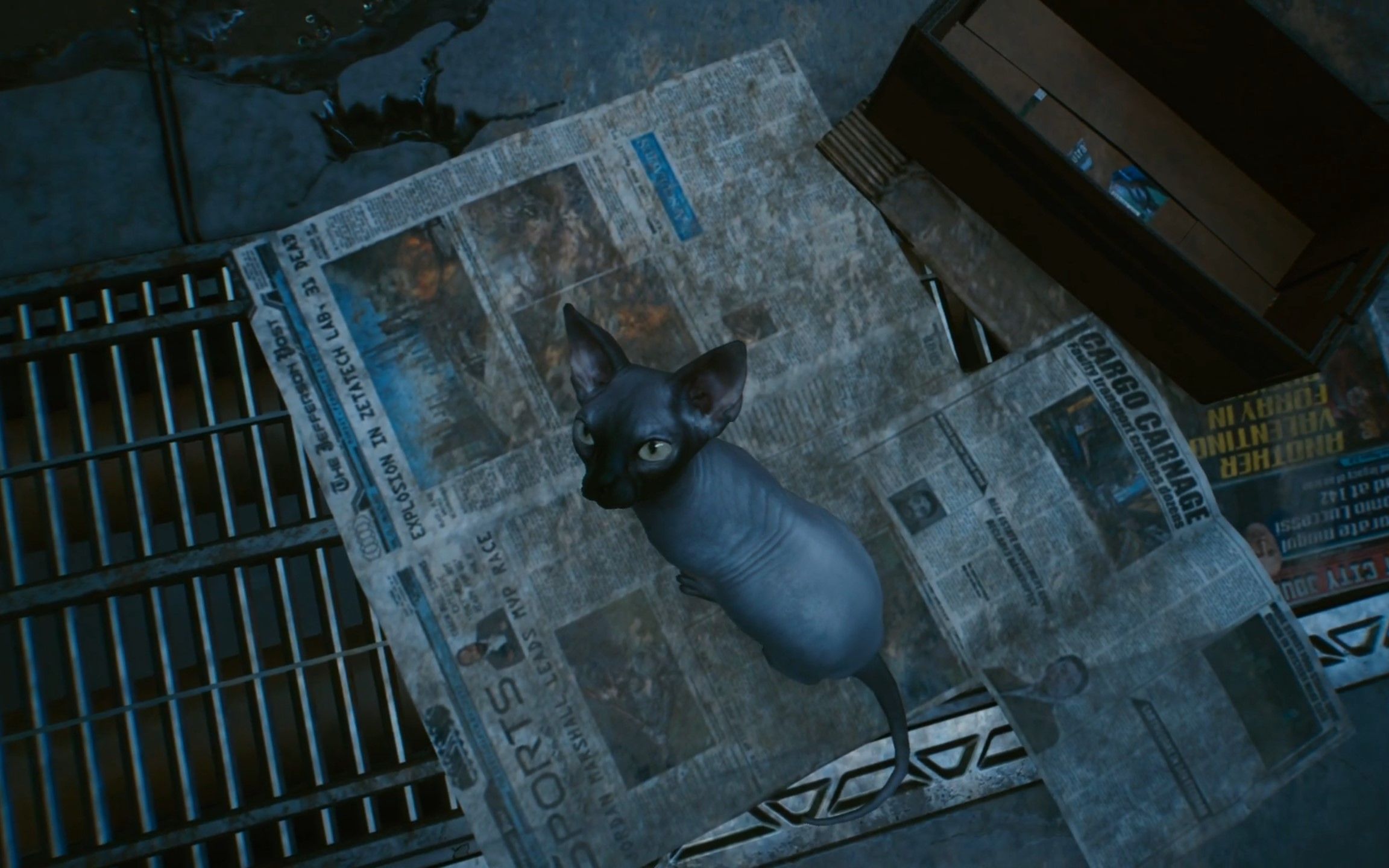 【赛博朋克2077】撸猫 演示_哔哩哔哩 (゜-゜)つロ 干杯~-bilibili