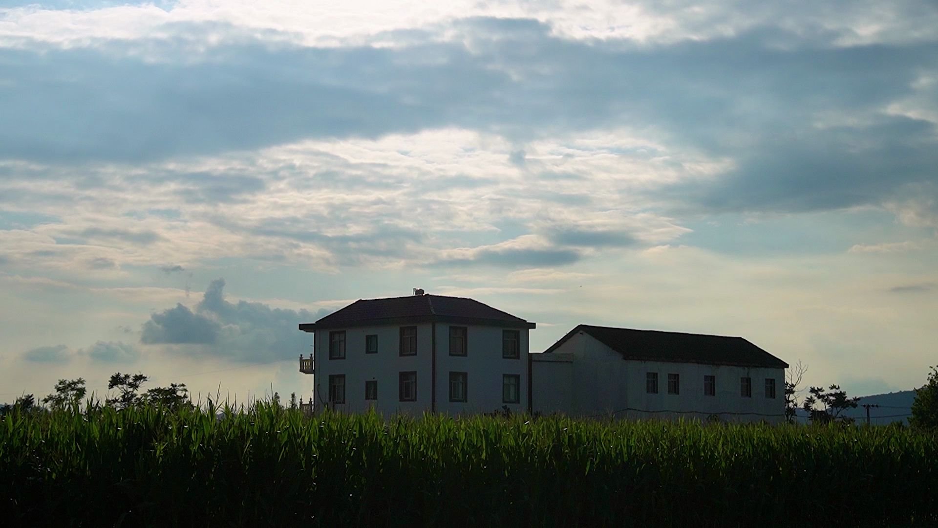 sonya6400初体验听说这个村子来了就不想走了哟九江市柴桑区麒麟村