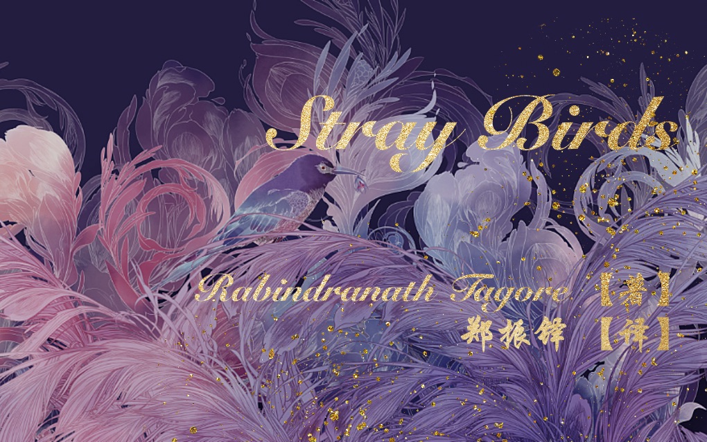 [图]Stray birds 【225-230】