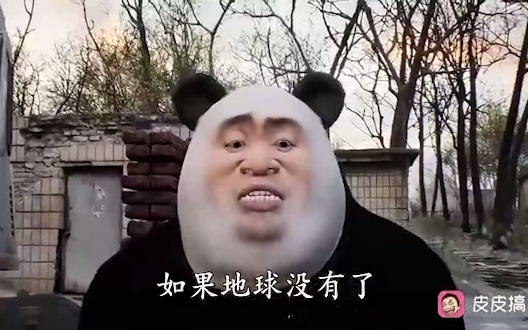 笋都被夺完了