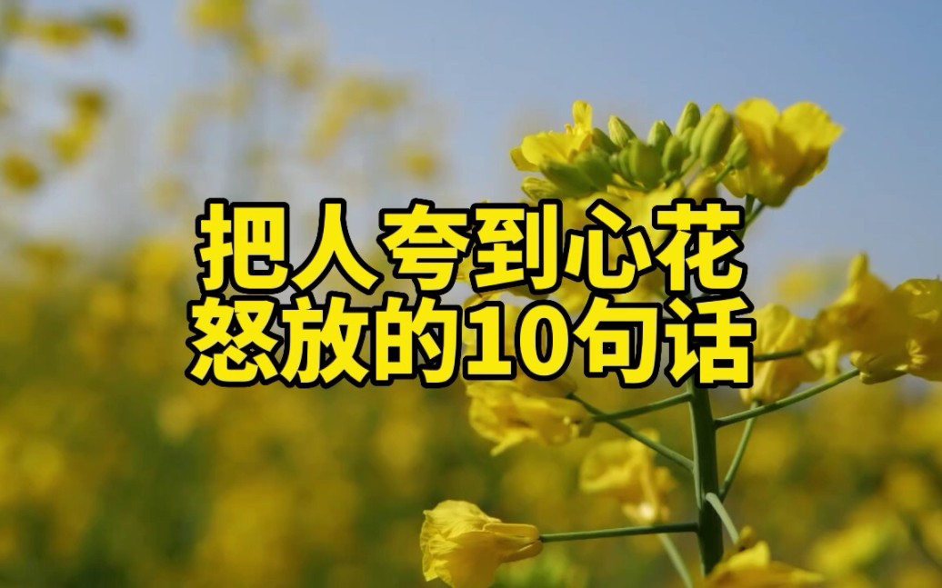 把人夸到心花怒放的10句话