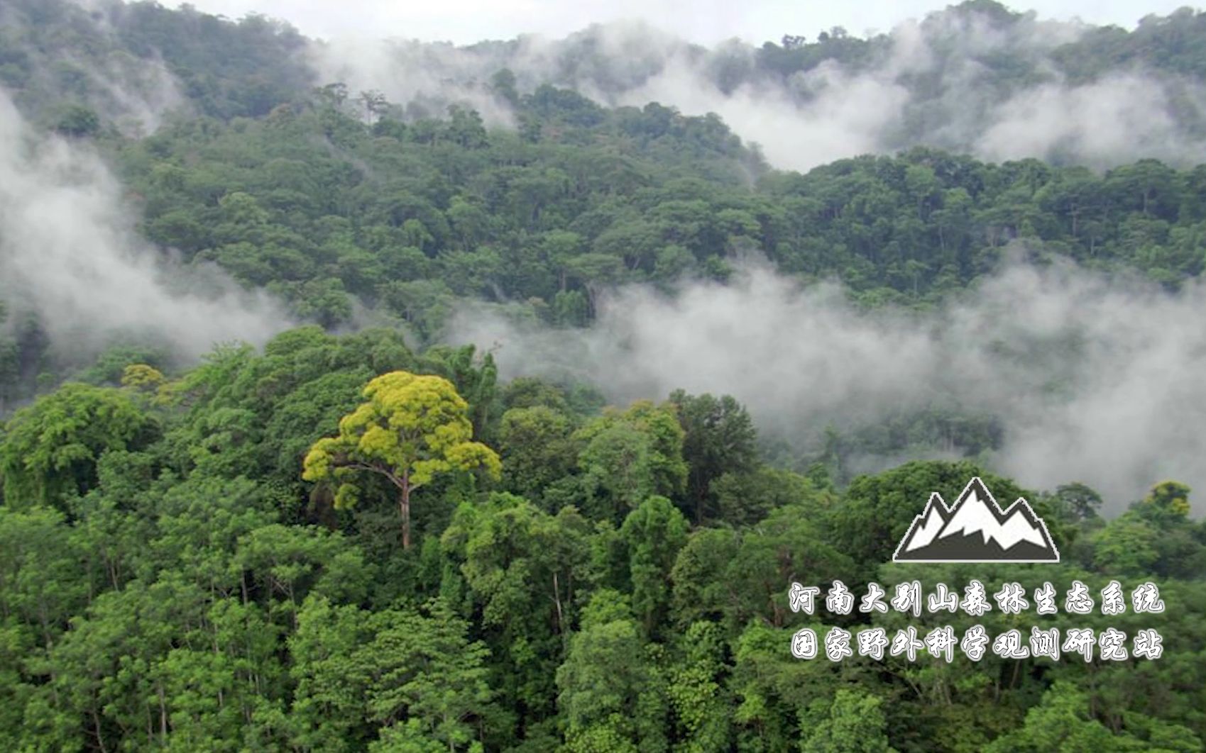 [图]河南大别山森林生态系统国家野外科学观测研究站宣传片