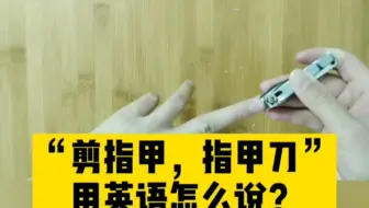五根手指 用英语怎么说 哔哩哔哩 Bilibili