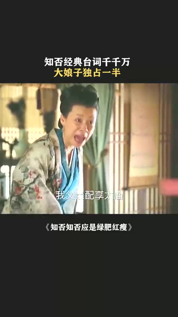 大娘子:我父亲配享太庙! #知否知否应是绿肥红瘦 #刘琳 #大娘子