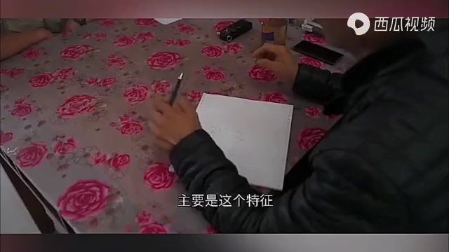 [图]张祥前描述的外星人