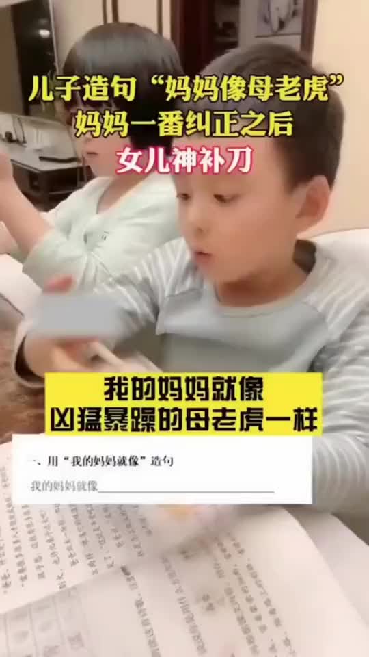 母老虎像妈妈一样凶猛暴躁哔哩哔哩bilibili