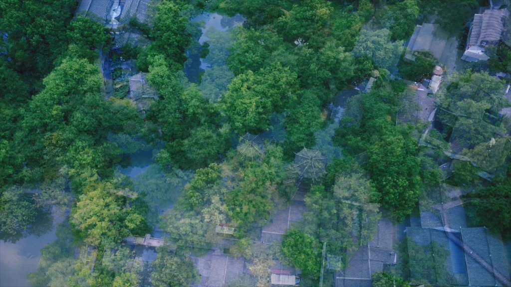鸟瞰湿地公园,生态美景一览无余|【航拍】大美西溪湿地