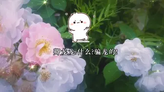 下载视频: 笑死，院长把吴浩做的好吃的全给小青龙吃了