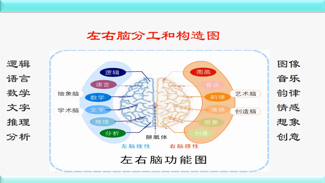 记忆魔法师之右脑开发,打造超级记忆力哔哩哔哩bilibili