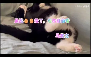 Descargar video: 【沈月】月月独爱小破站，大家也要喜欢她/芝麻无🥚朝天版