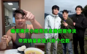 Download Video: 嘴哥离开小杨哥后直播数据惨淡，带货销量更是只有个位数