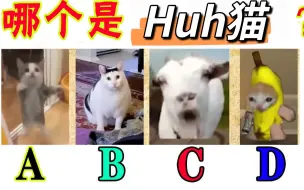 Download Video: 【送分题】测一测你对网上近期几个梗熟悉程度？？