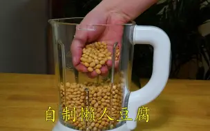 Video herunterladen: 把黄豆丢入破壁机，出锅变豆腐，不用泡豆，不煮豆，简单又快速